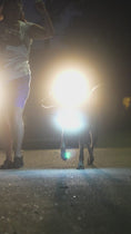 Load and play video in Gallery viewer, Lumi One LED  Harness
