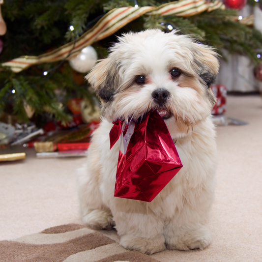 Mystery Dog Toy - Small Dog