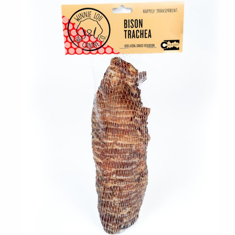 Winnie Lou Bison Trachea