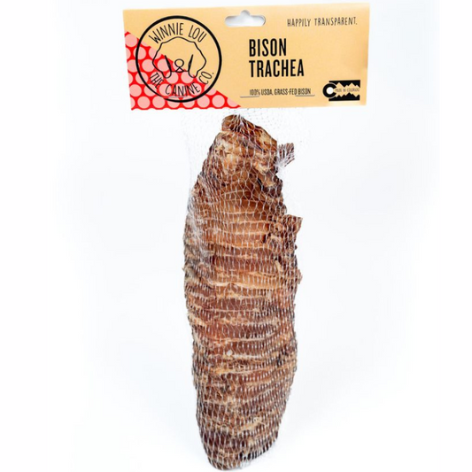 Winnie Lou Bison Trachea